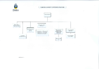 Corporate structure